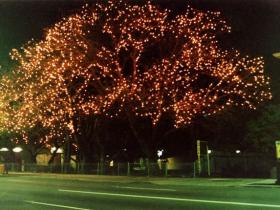 Fairylights tree decoration